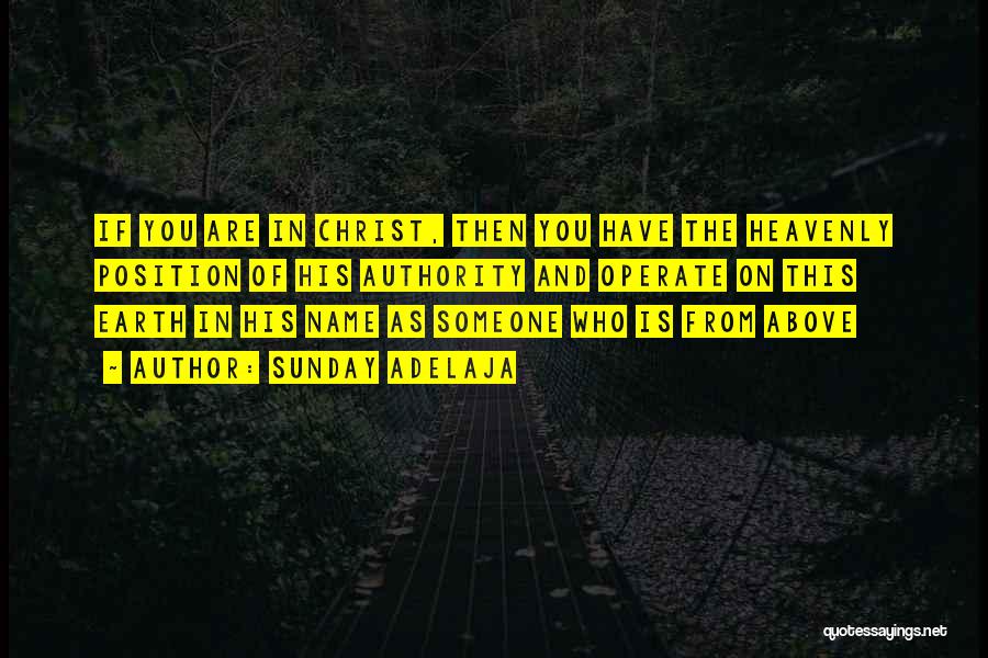 Sunday Adelaja Quotes: If You Are In Christ, Then You Have The Heavenly Position Of His Authority And Operate On This Earth In