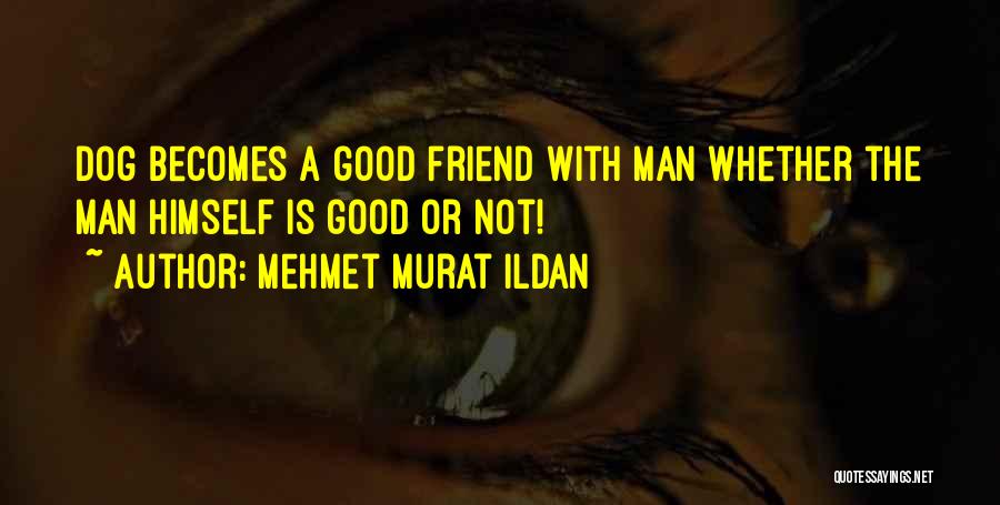 Mehmet Murat Ildan Quotes: Dog Becomes A Good Friend With Man Whether The Man Himself Is Good Or Not!