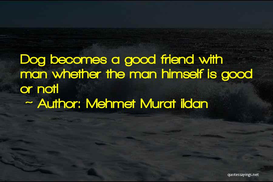 Mehmet Murat Ildan Quotes: Dog Becomes A Good Friend With Man Whether The Man Himself Is Good Or Not!