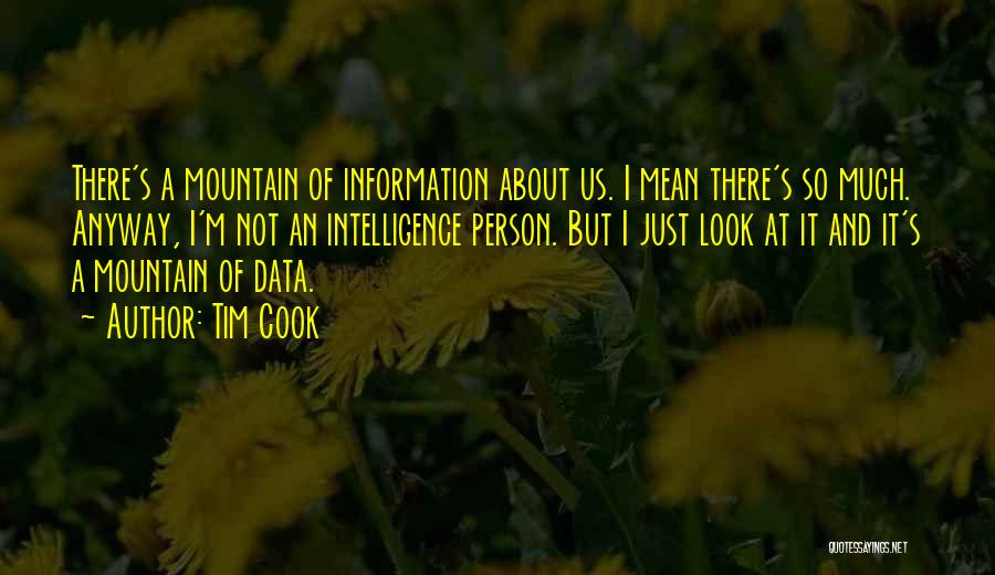 Tim Cook Quotes: There's A Mountain Of Information About Us. I Mean There's So Much. Anyway, I'm Not An Intelligence Person. But I