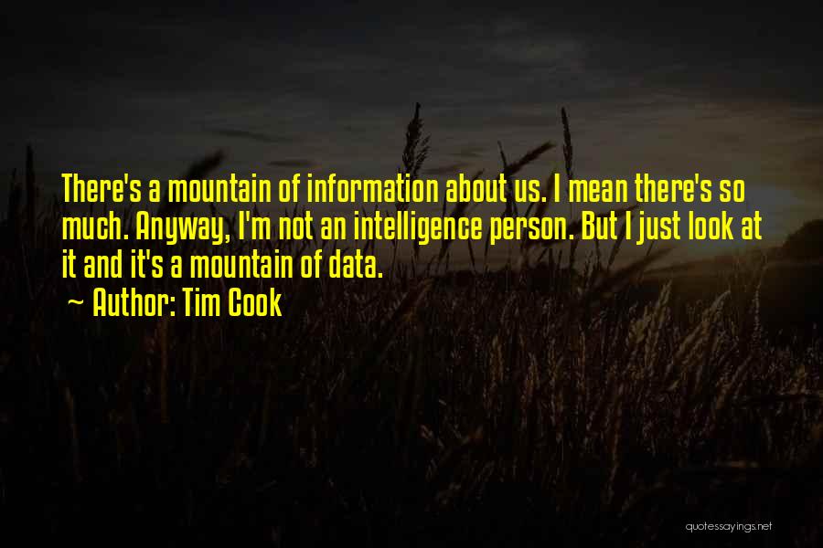 Tim Cook Quotes: There's A Mountain Of Information About Us. I Mean There's So Much. Anyway, I'm Not An Intelligence Person. But I