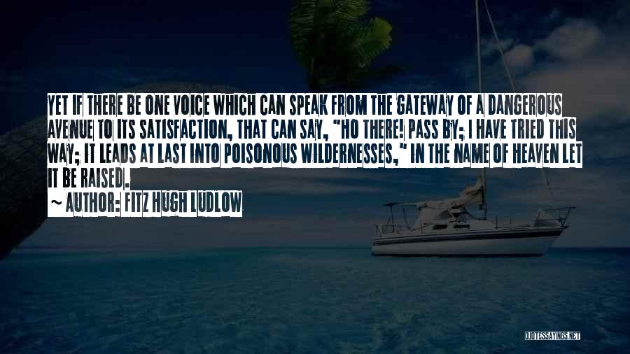 Fitz Hugh Ludlow Quotes: Yet If There Be One Voice Which Can Speak From The Gateway Of A Dangerous Avenue To Its Satisfaction, That