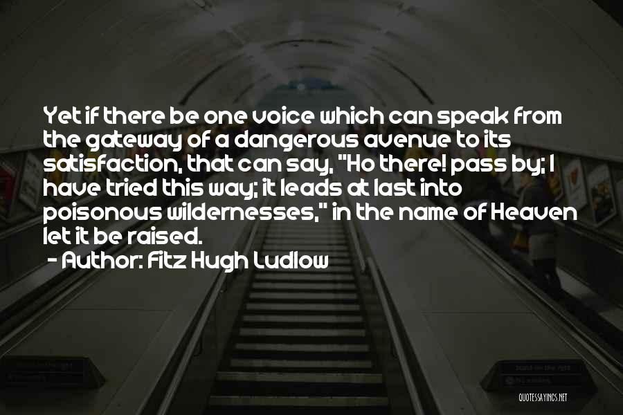 Fitz Hugh Ludlow Quotes: Yet If There Be One Voice Which Can Speak From The Gateway Of A Dangerous Avenue To Its Satisfaction, That