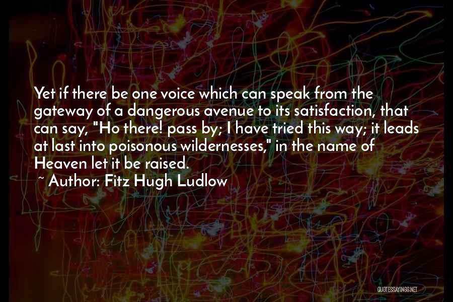 Fitz Hugh Ludlow Quotes: Yet If There Be One Voice Which Can Speak From The Gateway Of A Dangerous Avenue To Its Satisfaction, That
