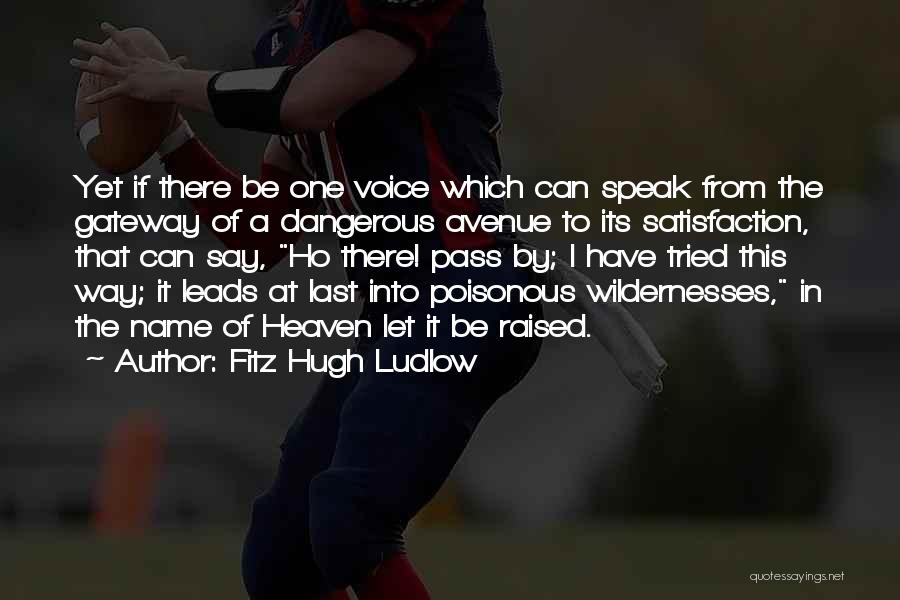 Fitz Hugh Ludlow Quotes: Yet If There Be One Voice Which Can Speak From The Gateway Of A Dangerous Avenue To Its Satisfaction, That