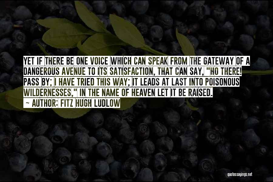 Fitz Hugh Ludlow Quotes: Yet If There Be One Voice Which Can Speak From The Gateway Of A Dangerous Avenue To Its Satisfaction, That