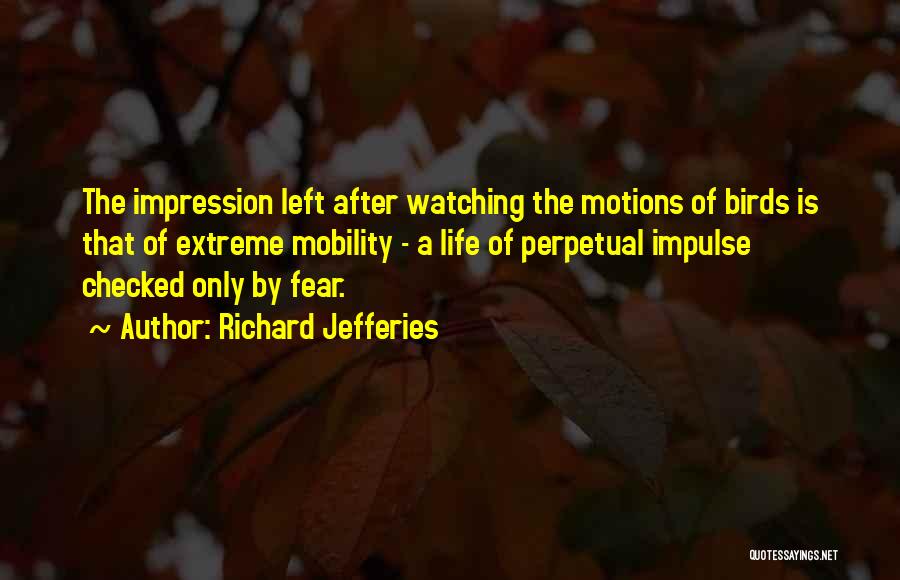 Richard Jefferies Quotes: The Impression Left After Watching The Motions Of Birds Is That Of Extreme Mobility - A Life Of Perpetual Impulse