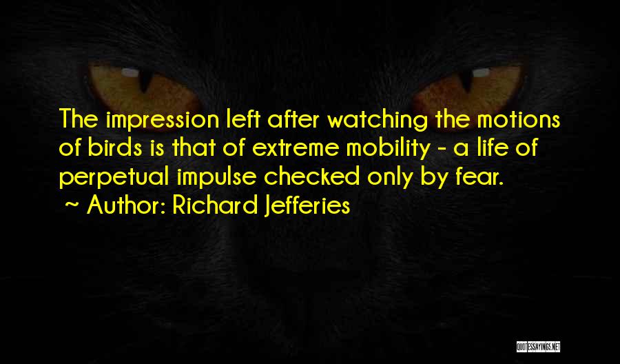 Richard Jefferies Quotes: The Impression Left After Watching The Motions Of Birds Is That Of Extreme Mobility - A Life Of Perpetual Impulse