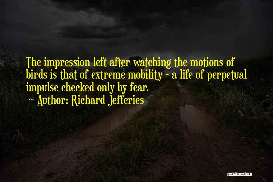 Richard Jefferies Quotes: The Impression Left After Watching The Motions Of Birds Is That Of Extreme Mobility - A Life Of Perpetual Impulse