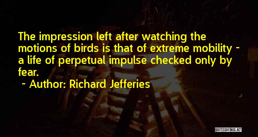 Richard Jefferies Quotes: The Impression Left After Watching The Motions Of Birds Is That Of Extreme Mobility - A Life Of Perpetual Impulse