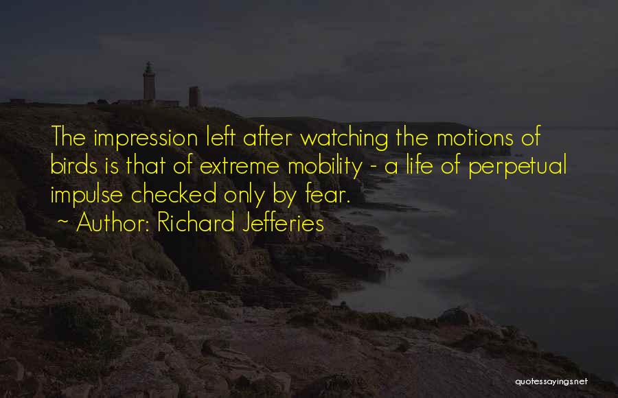 Richard Jefferies Quotes: The Impression Left After Watching The Motions Of Birds Is That Of Extreme Mobility - A Life Of Perpetual Impulse