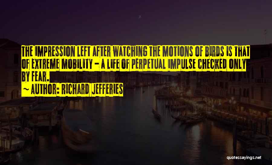 Richard Jefferies Quotes: The Impression Left After Watching The Motions Of Birds Is That Of Extreme Mobility - A Life Of Perpetual Impulse