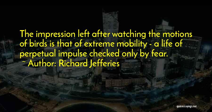 Richard Jefferies Quotes: The Impression Left After Watching The Motions Of Birds Is That Of Extreme Mobility - A Life Of Perpetual Impulse