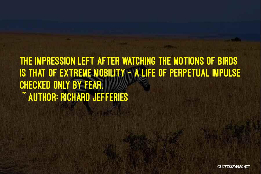 Richard Jefferies Quotes: The Impression Left After Watching The Motions Of Birds Is That Of Extreme Mobility - A Life Of Perpetual Impulse