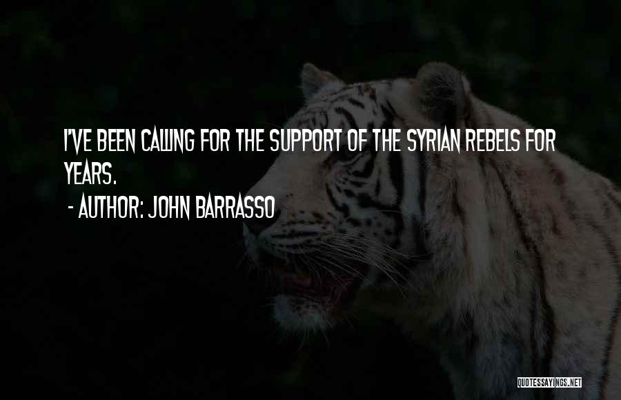 John Barrasso Quotes: I've Been Calling For The Support Of The Syrian Rebels For Years.