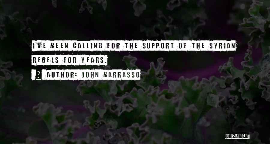 John Barrasso Quotes: I've Been Calling For The Support Of The Syrian Rebels For Years.