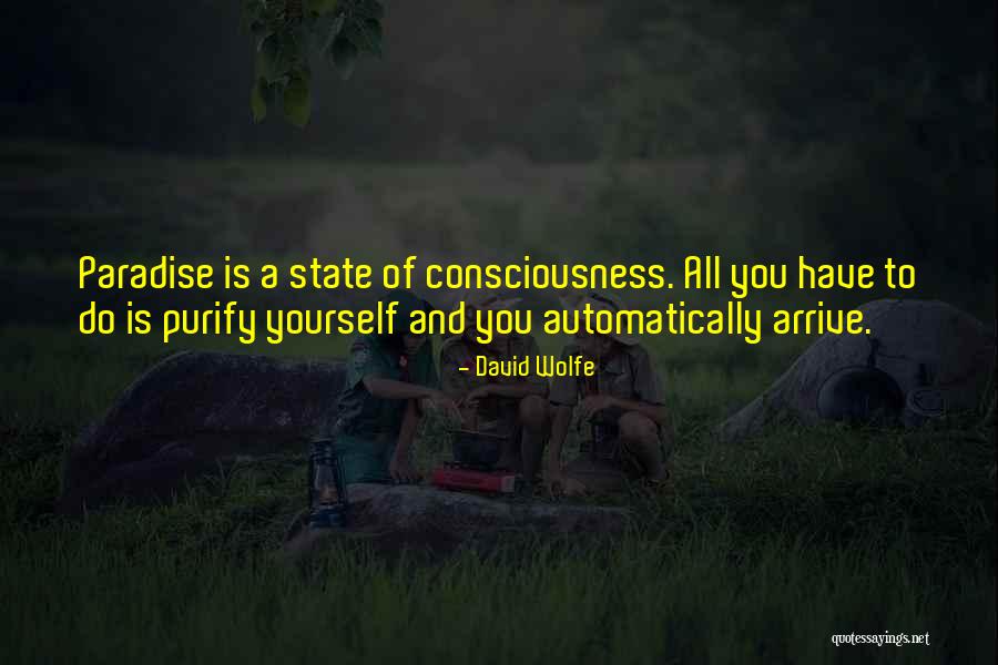8998 Quotes By David Wolfe 8998 Quotes By David Wolfe