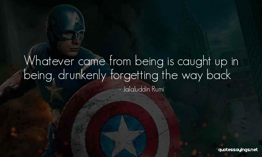 8in Subwoofer Quotes By Jalaluddin Rumi 8in Subwoofer Quotes By Jalaluddin Rumi