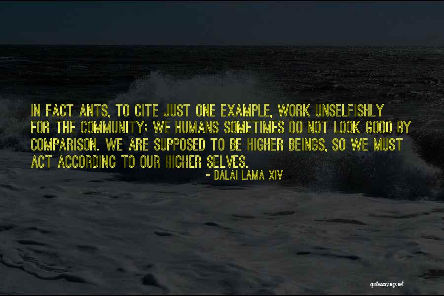 8sian Quotes By Dalai Lama XIV 8sian Quotes By Dalai Lama XIV