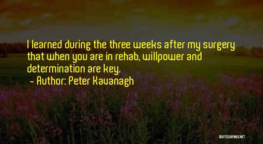 9 1 2 Weeks Quotes By Peter Kavanagh