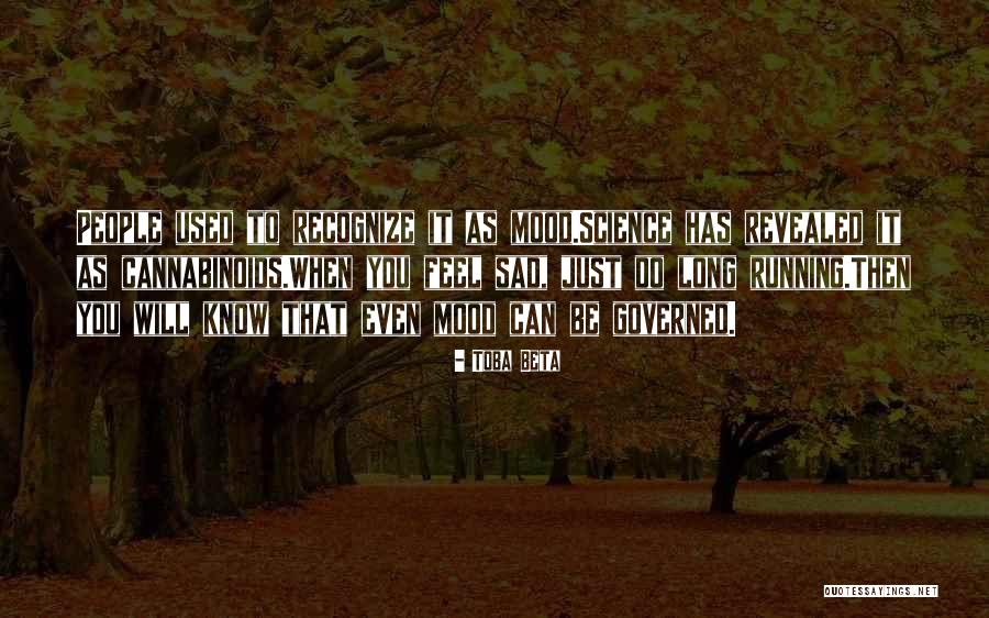 9 11 Memorials Quotes By Toba Beta 9 11 Memorials Quotes By Toba Beta