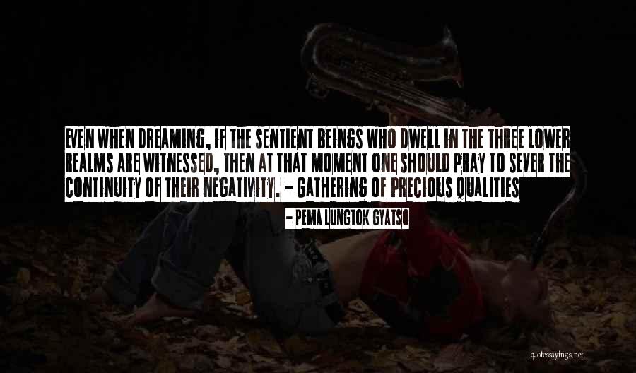 9 Dream Quotes By Pema Lungtok Gyatso 9 Dream Quotes By Pema Lungtok Gyatso