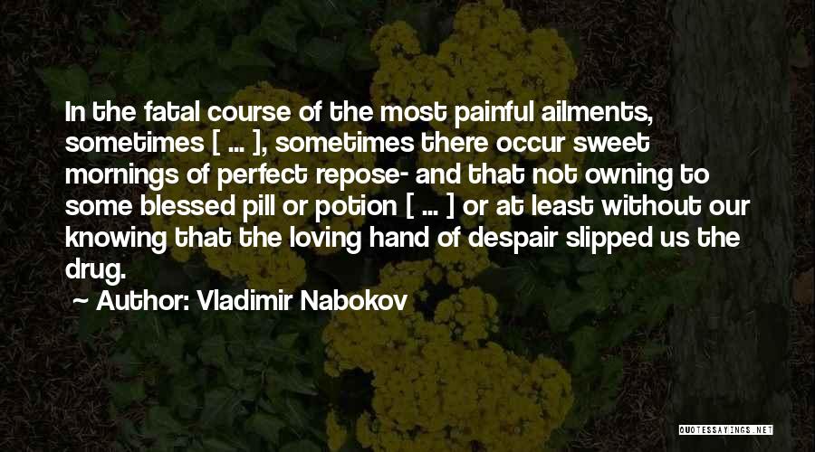 9 Mornings Quotes By Vladimir Nabokov