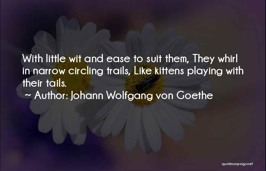 9 Tails Quotes By Johann Wolfgang Von Goethe