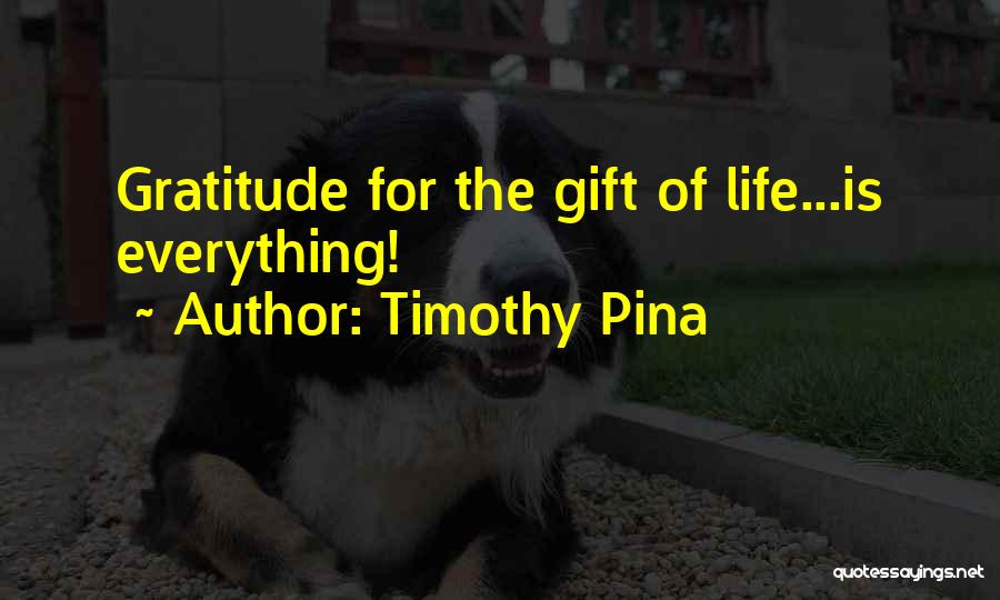 9 Tails Quotes By Timothy Pina