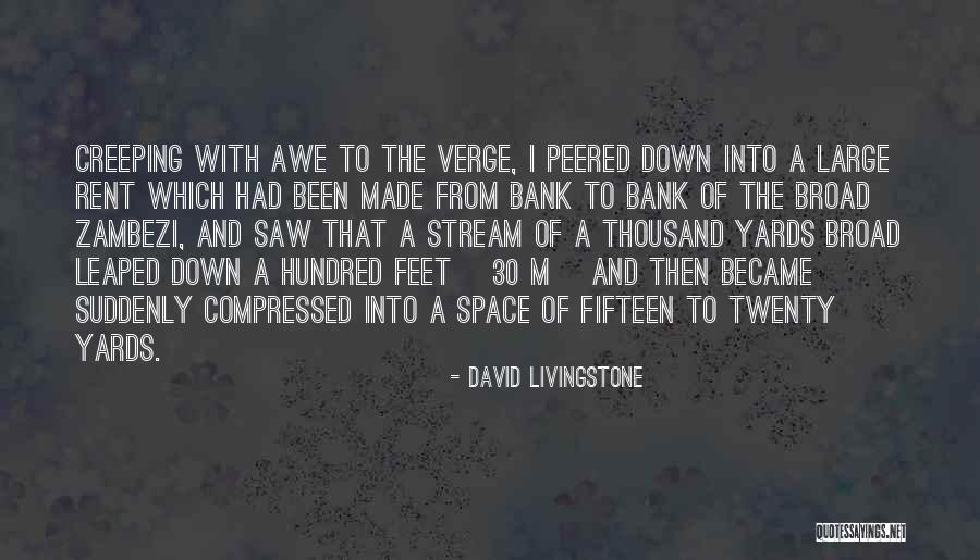 9 Yards Quotes By David Livingstone