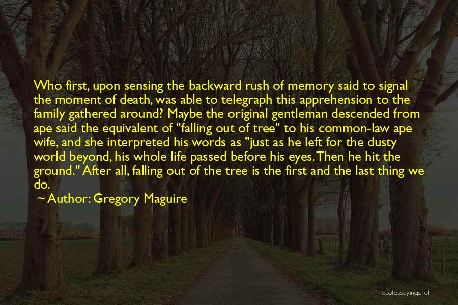 Gregory Maguire Quotes: Who First, Upon Sensing The Backward Rush Of Memory Said To Signal The Moment Of Death, Was Able To Telegraph