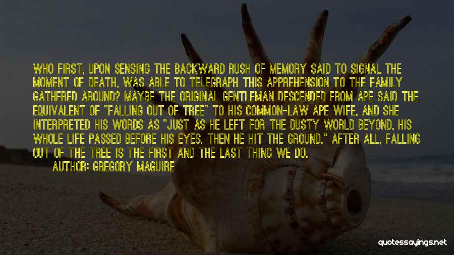 Gregory Maguire Quotes: Who First, Upon Sensing The Backward Rush Of Memory Said To Signal The Moment Of Death, Was Able To Telegraph