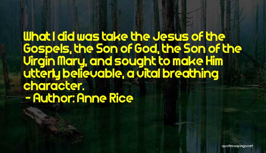 Anne Rice Quotes: What I Did Was Take The Jesus Of The Gospels, The Son Of God, The Son Of The Virgin Mary,