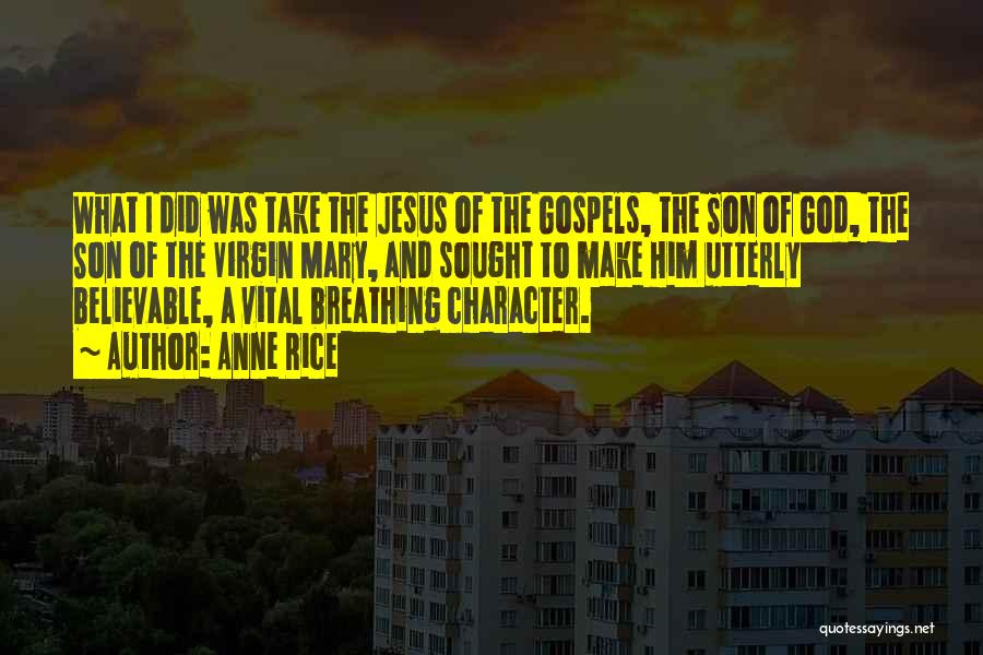 Anne Rice Quotes: What I Did Was Take The Jesus Of The Gospels, The Son Of God, The Son Of The Virgin Mary,