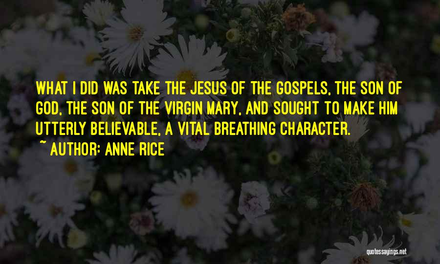 Anne Rice Quotes: What I Did Was Take The Jesus Of The Gospels, The Son Of God, The Son Of The Virgin Mary,