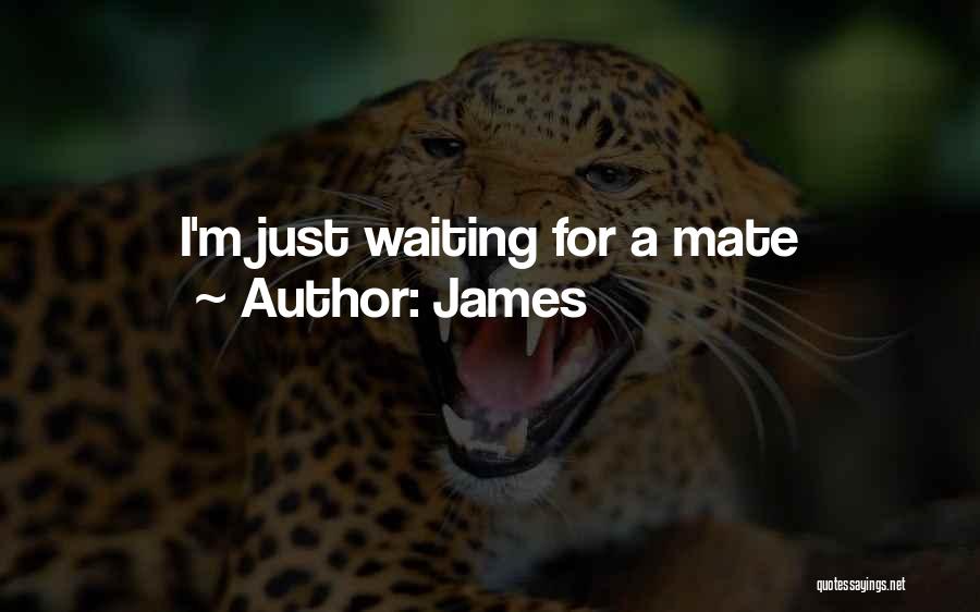 James Quotes: I'm Just Waiting For A Mate