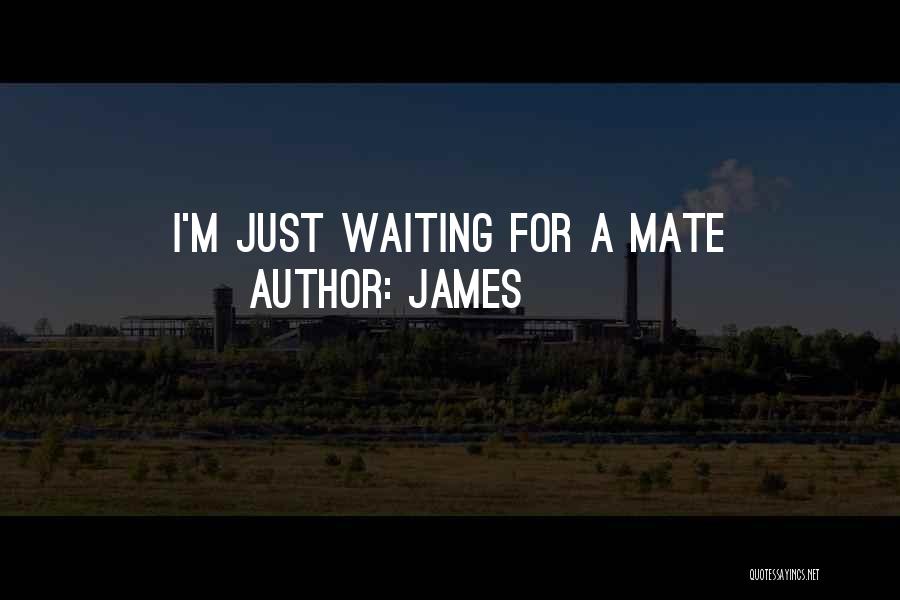 James Quotes: I'm Just Waiting For A Mate
