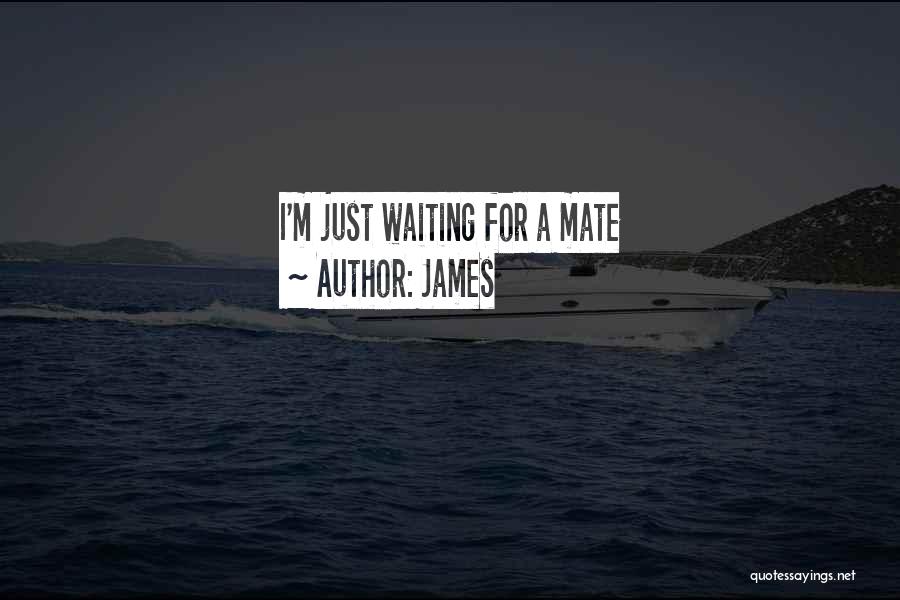 James Quotes: I'm Just Waiting For A Mate