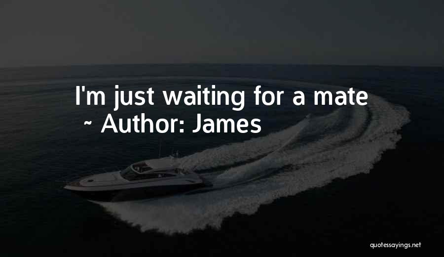 James Quotes: I'm Just Waiting For A Mate