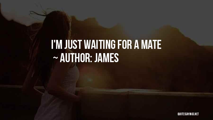 James Quotes: I'm Just Waiting For A Mate