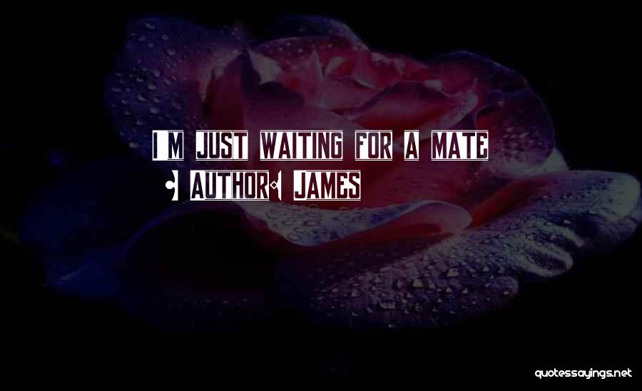 James Quotes: I'm Just Waiting For A Mate