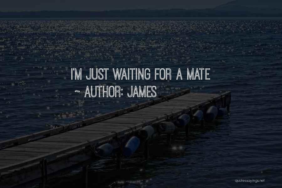 James Quotes: I'm Just Waiting For A Mate