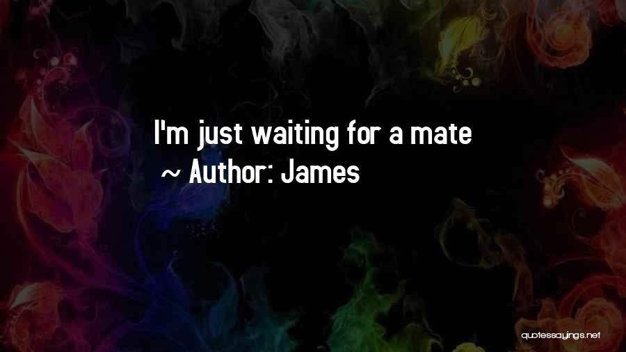 James Quotes: I'm Just Waiting For A Mate