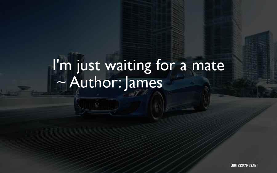 James Quotes: I'm Just Waiting For A Mate