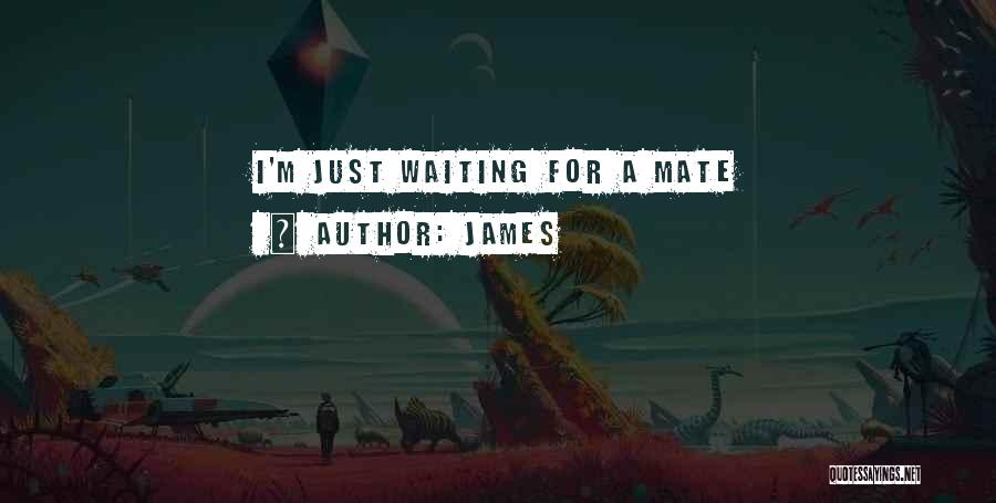 James Quotes: I'm Just Waiting For A Mate