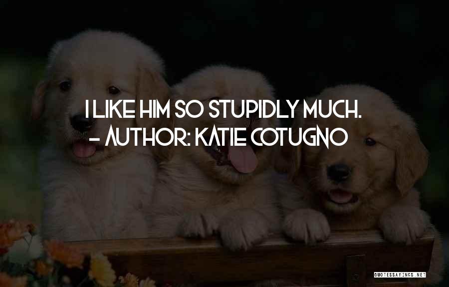 Katie Cotugno Quotes: I Like Him So Stupidly Much.