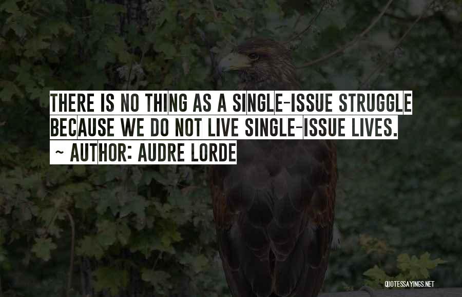 Audre Lorde Quotes: There Is No Thing As A Single-issue Struggle Because We Do Not Live Single-issue Lives.