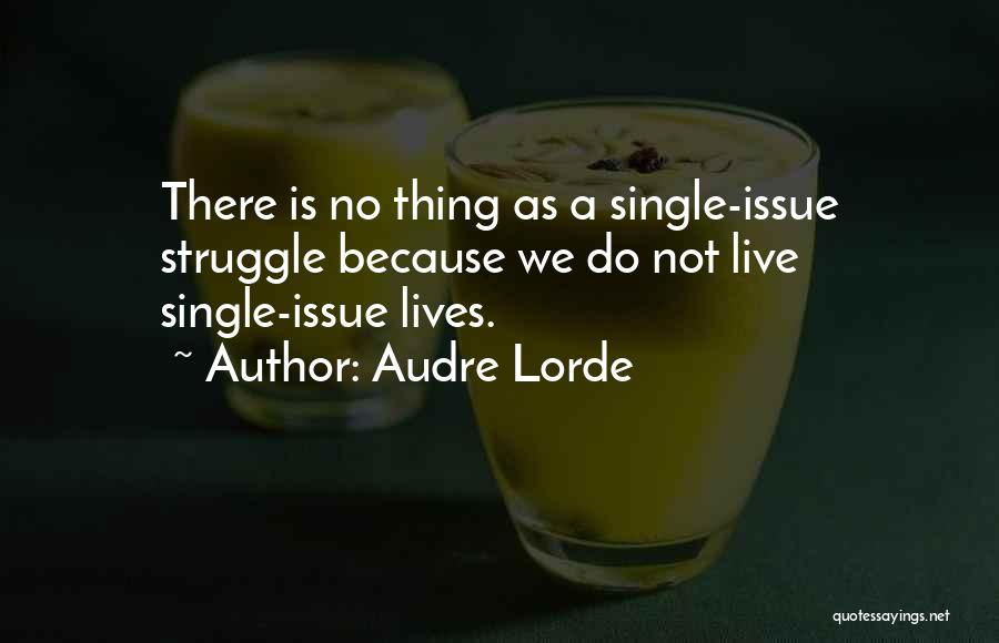 Audre Lorde Quotes: There Is No Thing As A Single-issue Struggle Because We Do Not Live Single-issue Lives.