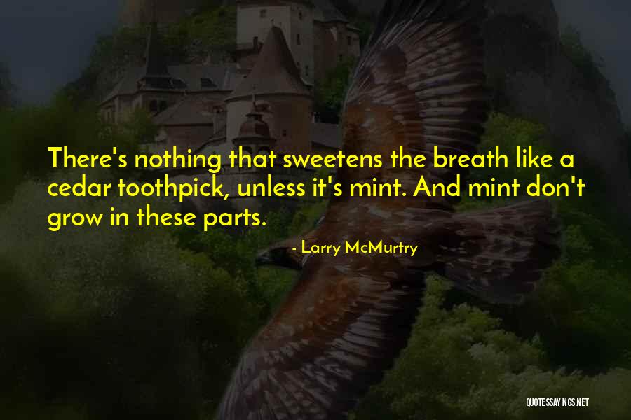90223 Quotes By Larry McMurtry 90223 Quotes By Larry McMurtry