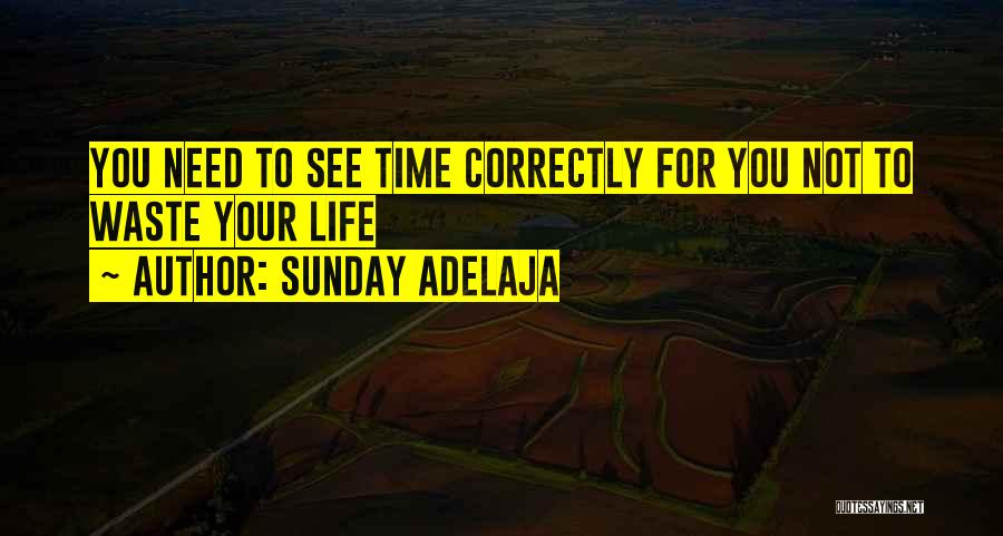 Sunday Adelaja Quotes: You Need To See Time Correctly For You Not To Waste Your Life